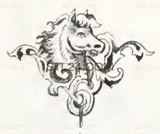 ANIMAL_0165